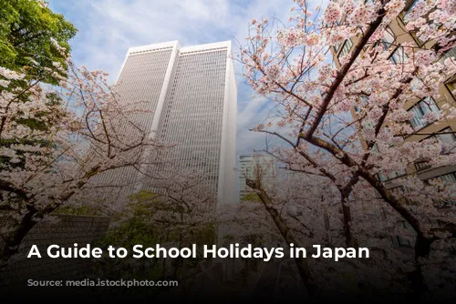 A Guide to School Holidays in Japan