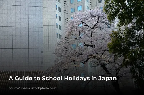 A Guide to School Holidays in Japan