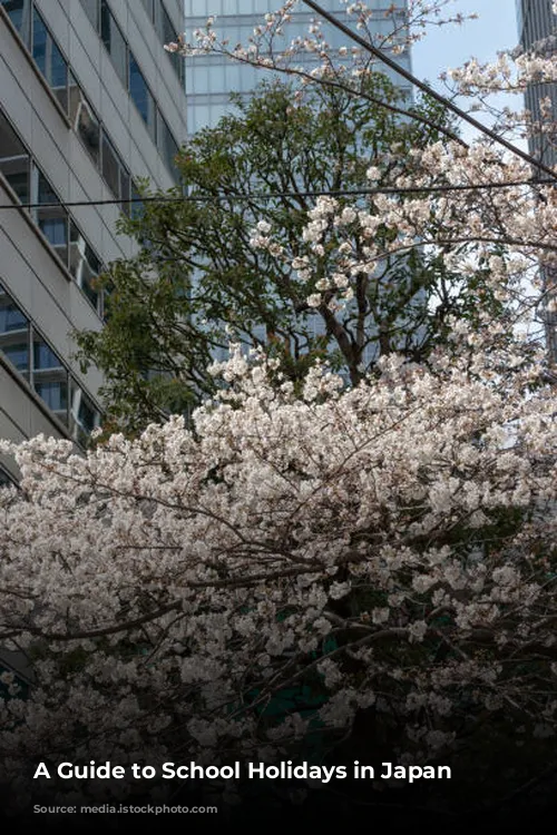 A Guide to School Holidays in Japan