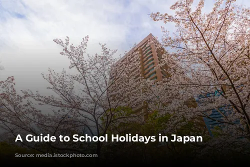 A Guide to School Holidays in Japan