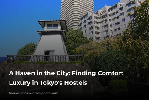 A Haven in the City: Finding Comfort and Luxury in Tokyo's Hostels