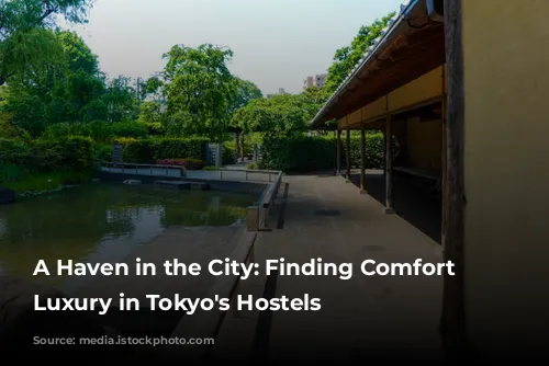 A Haven in the City: Finding Comfort and Luxury in Tokyo's Hostels