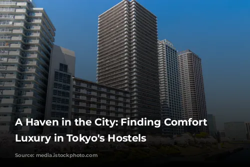 A Haven in the City: Finding Comfort and Luxury in Tokyo's Hostels