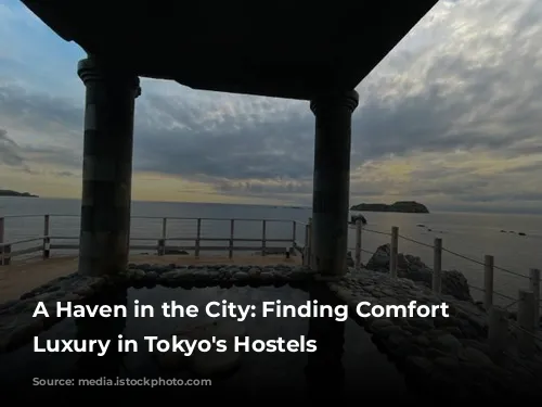 A Haven in the City: Finding Comfort and Luxury in Tokyo's Hostels