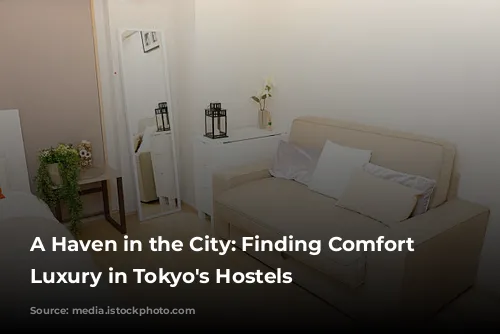 A Haven in the City: Finding Comfort and Luxury in Tokyo's Hostels