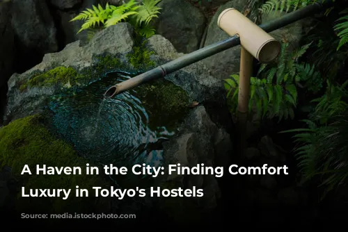 A Haven in the City: Finding Comfort and Luxury in Tokyo's Hostels