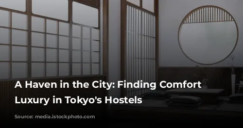 A Haven in the City: Finding Comfort and Luxury in Tokyo's Hostels