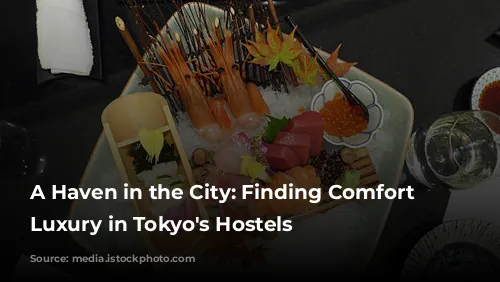 A Haven in the City: Finding Comfort and Luxury in Tokyo's Hostels