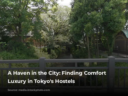 A Haven in the City: Finding Comfort and Luxury in Tokyo's Hostels