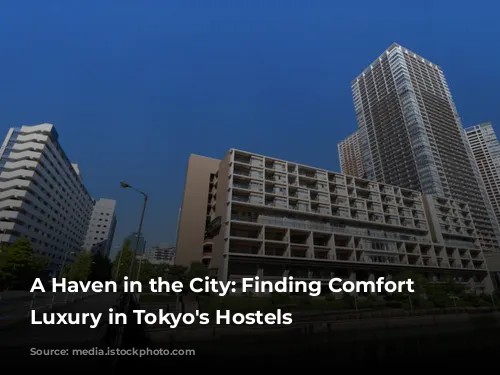 A Haven in the City: Finding Comfort and Luxury in Tokyo's Hostels