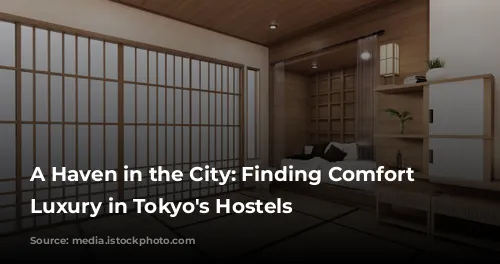 A Haven in the City: Finding Comfort and Luxury in Tokyo's Hostels