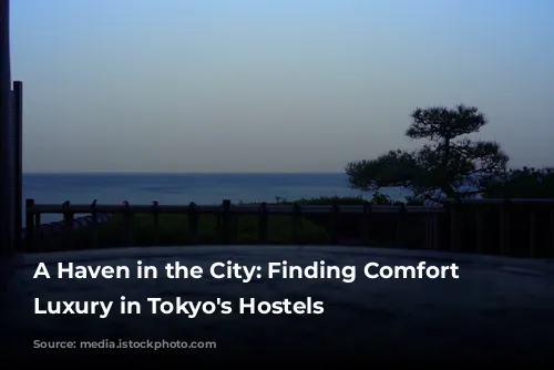 A Haven in the City: Finding Comfort and Luxury in Tokyo's Hostels