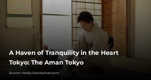 A Haven of Tranquility in the Heart of Tokyo: The Aman Tokyo