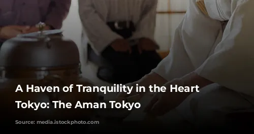 A Haven of Tranquility in the Heart of Tokyo: The Aman Tokyo