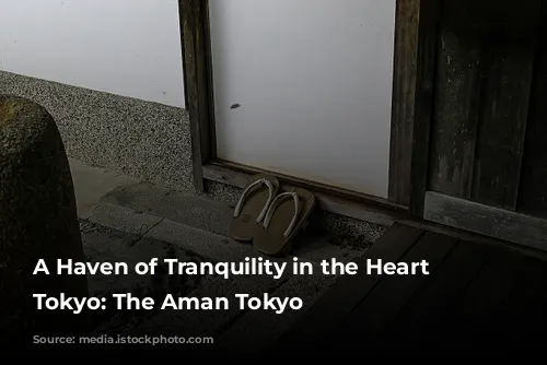 A Haven of Tranquility in the Heart of Tokyo: The Aman Tokyo