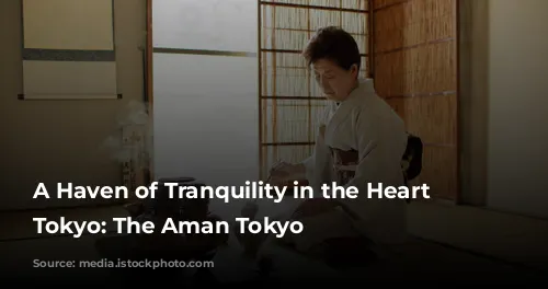 A Haven of Tranquility in the Heart of Tokyo: The Aman Tokyo