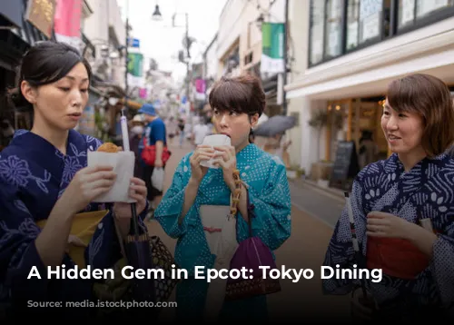 A Hidden Gem in Epcot: Tokyo Dining