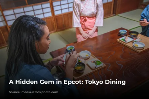 A Hidden Gem in Epcot: Tokyo Dining