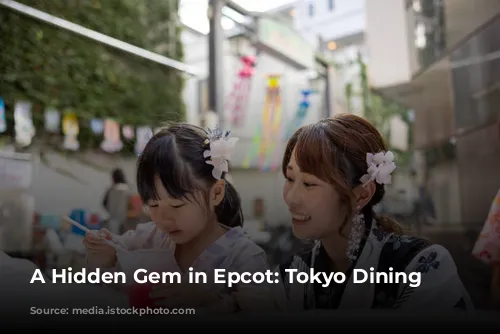 A Hidden Gem in Epcot: Tokyo Dining