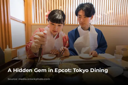 A Hidden Gem in Epcot: Tokyo Dining