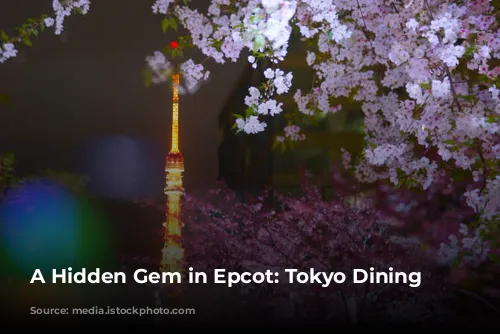 A Hidden Gem in Epcot: Tokyo Dining