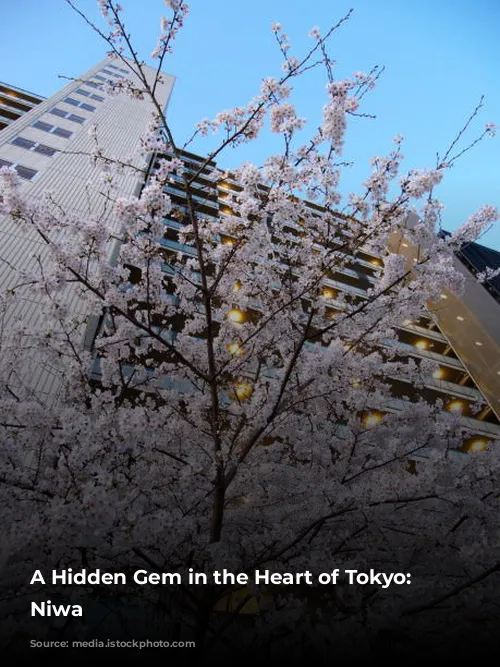 A Hidden Gem in the Heart of Tokyo: Hotel Niwa