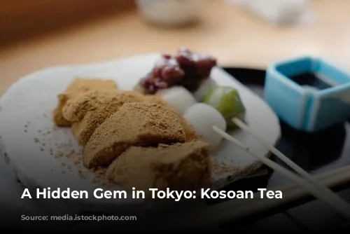 A Hidden Gem in Tokyo: Kosoan Tea House