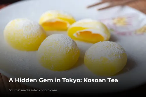 A Hidden Gem in Tokyo: Kosoan Tea House