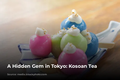 A Hidden Gem in Tokyo: Kosoan Tea House