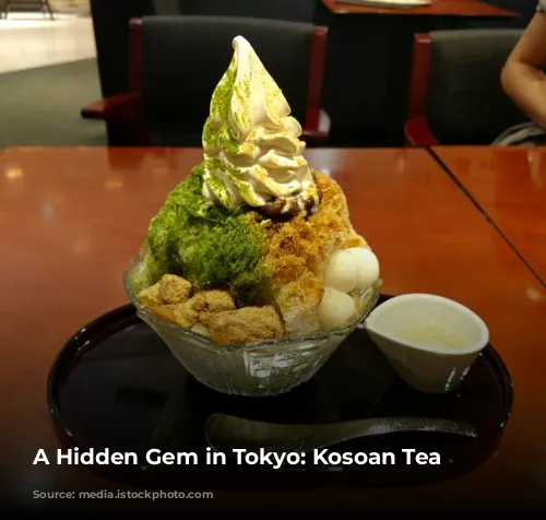 A Hidden Gem in Tokyo: Kosoan Tea House