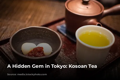 A Hidden Gem in Tokyo: Kosoan Tea House