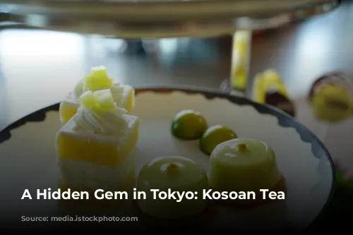 A Hidden Gem in Tokyo: Kosoan Tea House