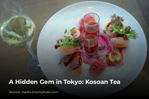 A Hidden Gem in Tokyo: Kosoan Tea House