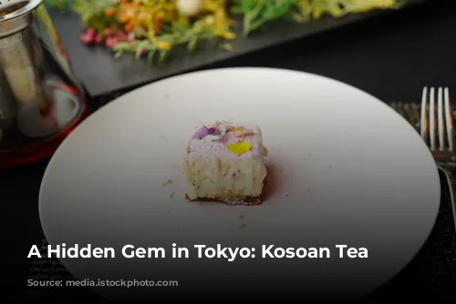 A Hidden Gem in Tokyo: Kosoan Tea House