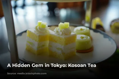 A Hidden Gem in Tokyo: Kosoan Tea House