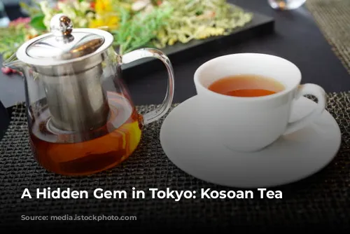 A Hidden Gem in Tokyo: Kosoan Tea House