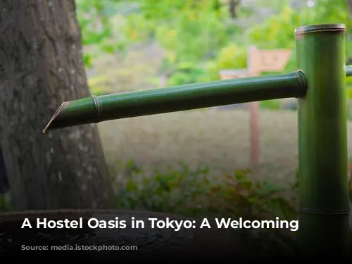 A Hostel Oasis in Tokyo: A Welcoming Escape