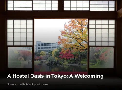 A Hostel Oasis in Tokyo: A Welcoming Escape