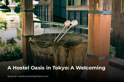 A Hostel Oasis in Tokyo: A Welcoming Escape