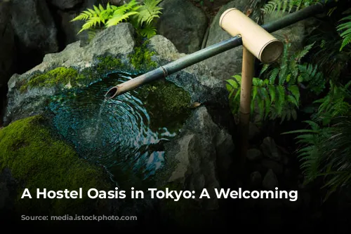 A Hostel Oasis in Tokyo: A Welcoming Escape