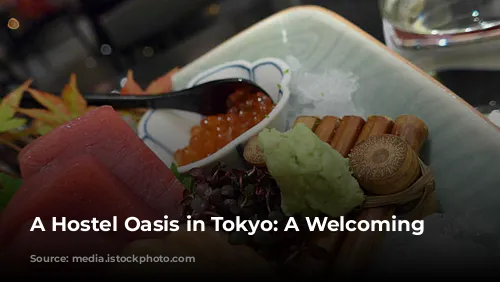 A Hostel Oasis in Tokyo: A Welcoming Escape