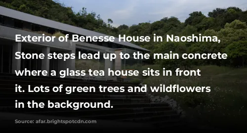 Exterior of Benesse House in Naoshima, Japan. Stone steps lead up to the main concrete building, where a glass tea house sits in front of it. Lots of green trees and wildflowers are in the background.