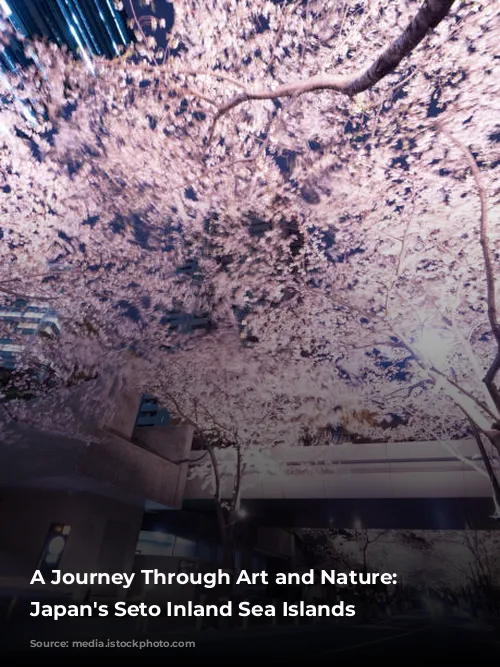 A Journey Through Art and Nature: Exploring Japan's Seto Inland Sea Islands