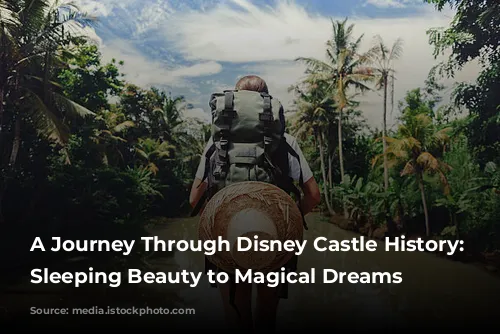 A Journey Through Disney Castle History: From Sleeping Beauty to Magical Dreams