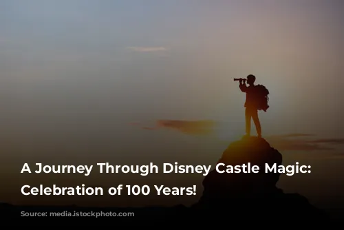 A Journey Through Disney Castle Magic: A Celebration of 100 Years!