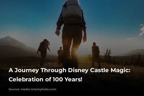 A Journey Through Disney Castle Magic: A Celebration of 100 Years!