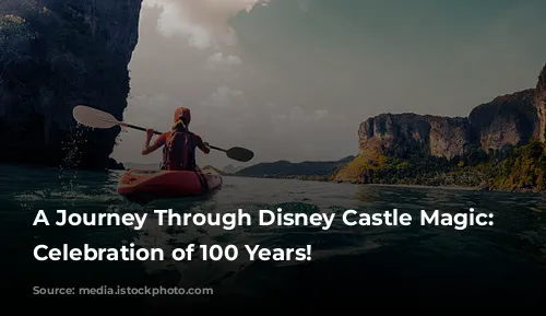 A Journey Through Disney Castle Magic: A Celebration of 100 Years!