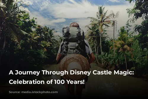 A Journey Through Disney Castle Magic: A Celebration of 100 Years!