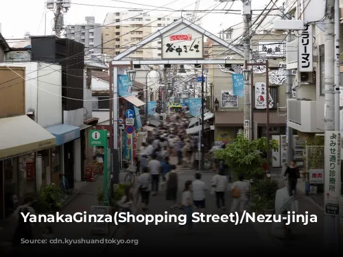 YanakaGinza(Shopping Street)/Nezu-jinja Shrine