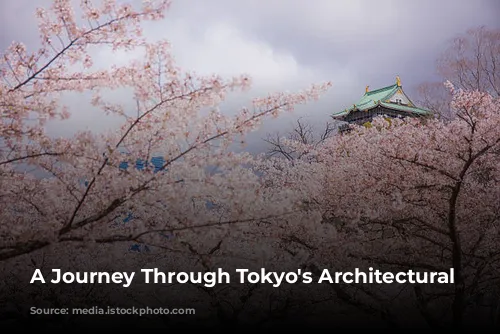 A Journey Through Tokyo's Architectural Tapestry